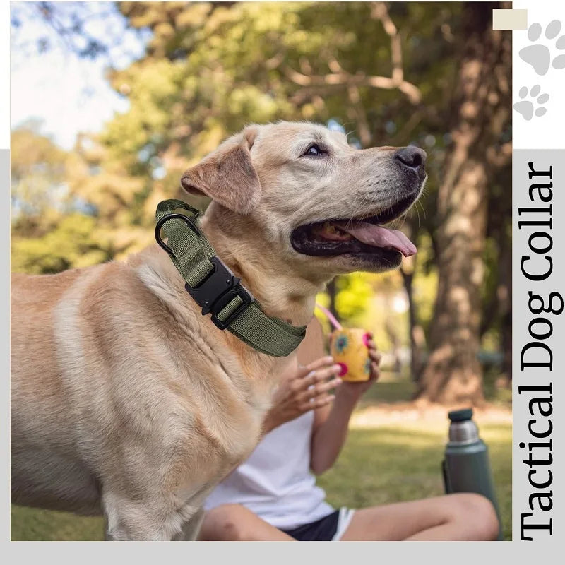 Dog Collar Durable Adjustable Military Pet Collar Tactical Leash Set Nylon Collar Medium Large Dog Shepherd Training Accessories